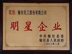 2003年榆社縣明星企業