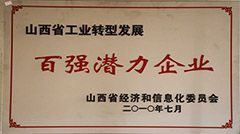 2010年百強潛力企業